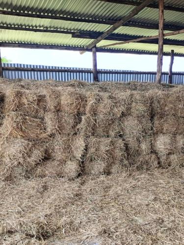 Pasture_Storage_Hay_Bales_Katonga_farm