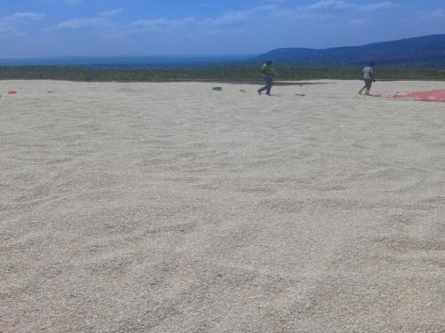 Maize_Grain_Katonga NEC Farm