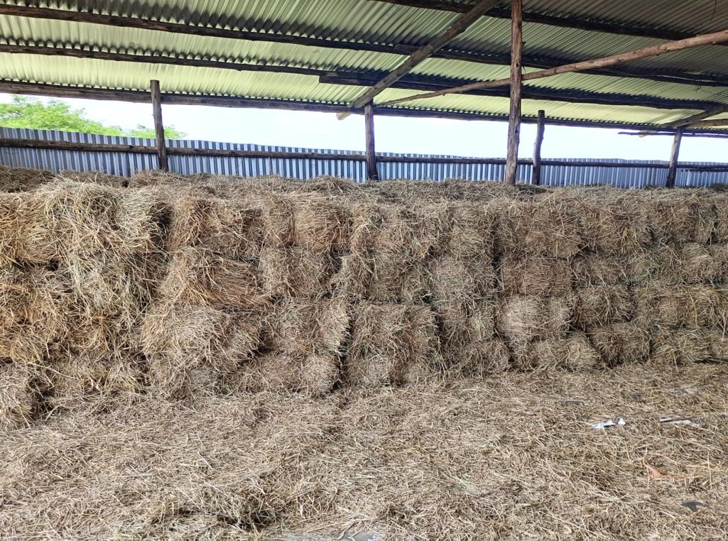 Pasture_Storage_Hay_Bales_Katonga_farm